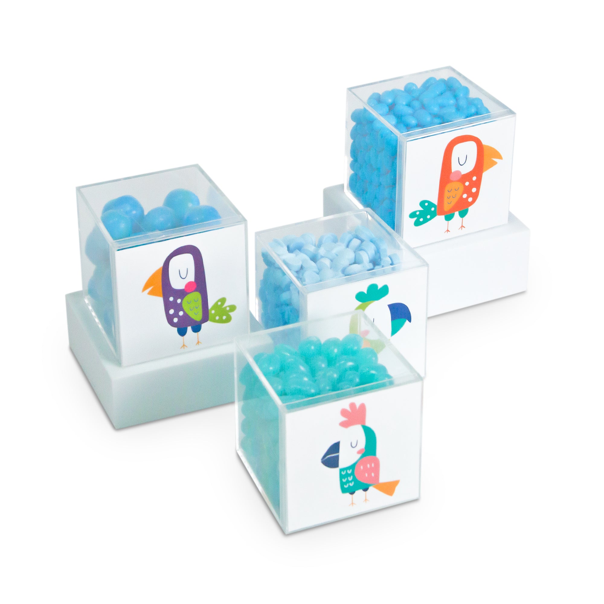 Box of Gourmet Pacifier-Shaped Candies
