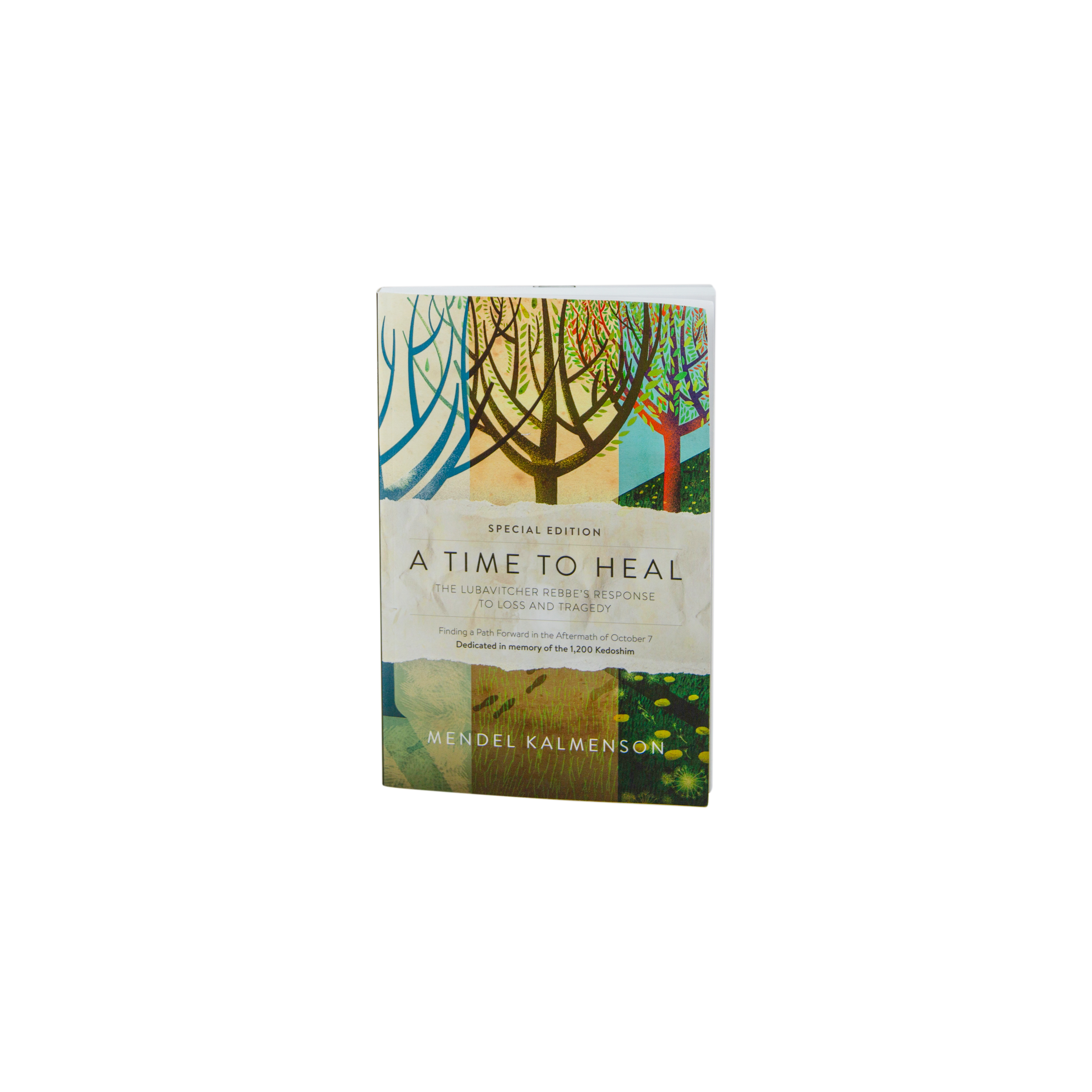 ‘A Time to Heal’ book by Nechama T. Malka